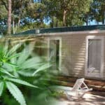 Civil Case Updates for Criminal Practitioners Archive (April 2020)